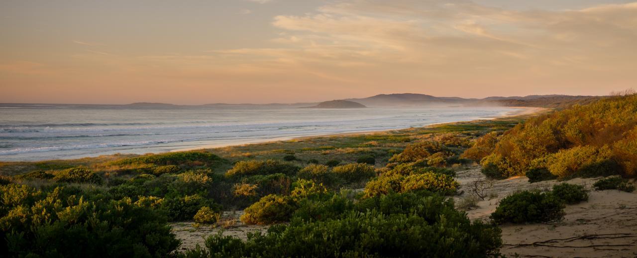 Wairo Beach Holiday Park Tabourie Lake Eksteriør bilde